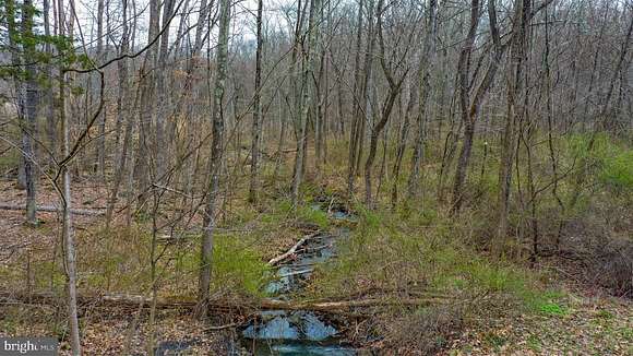 22.2 Acres of Recreational Land for Sale in Upper Black Eddy, Pennsylvania