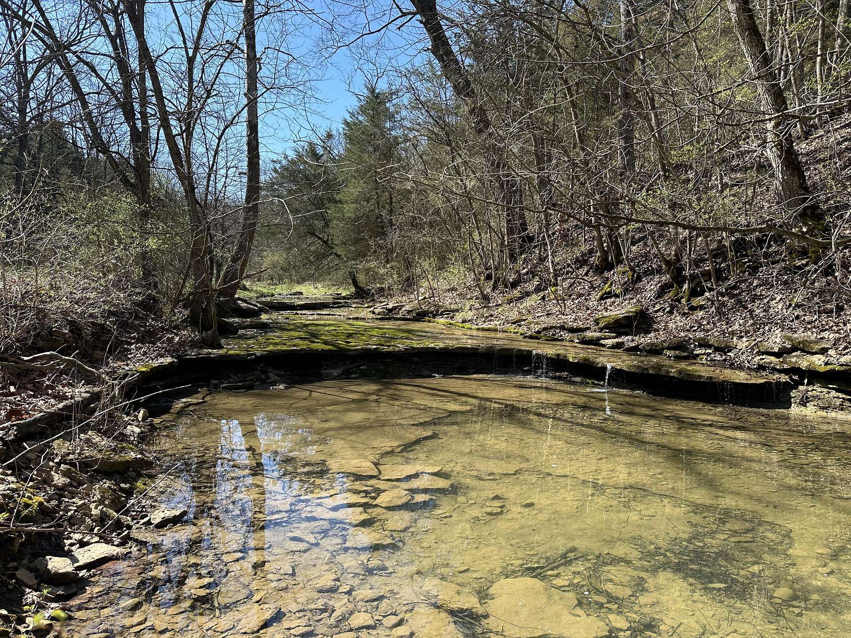 64.11 Acres of Recreational Land & Farm for Sale in Carlisle, Kentucky