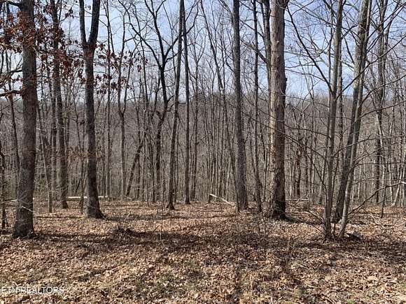 3.1 Acres of Residential Land for Sale in Monterey, Tennessee