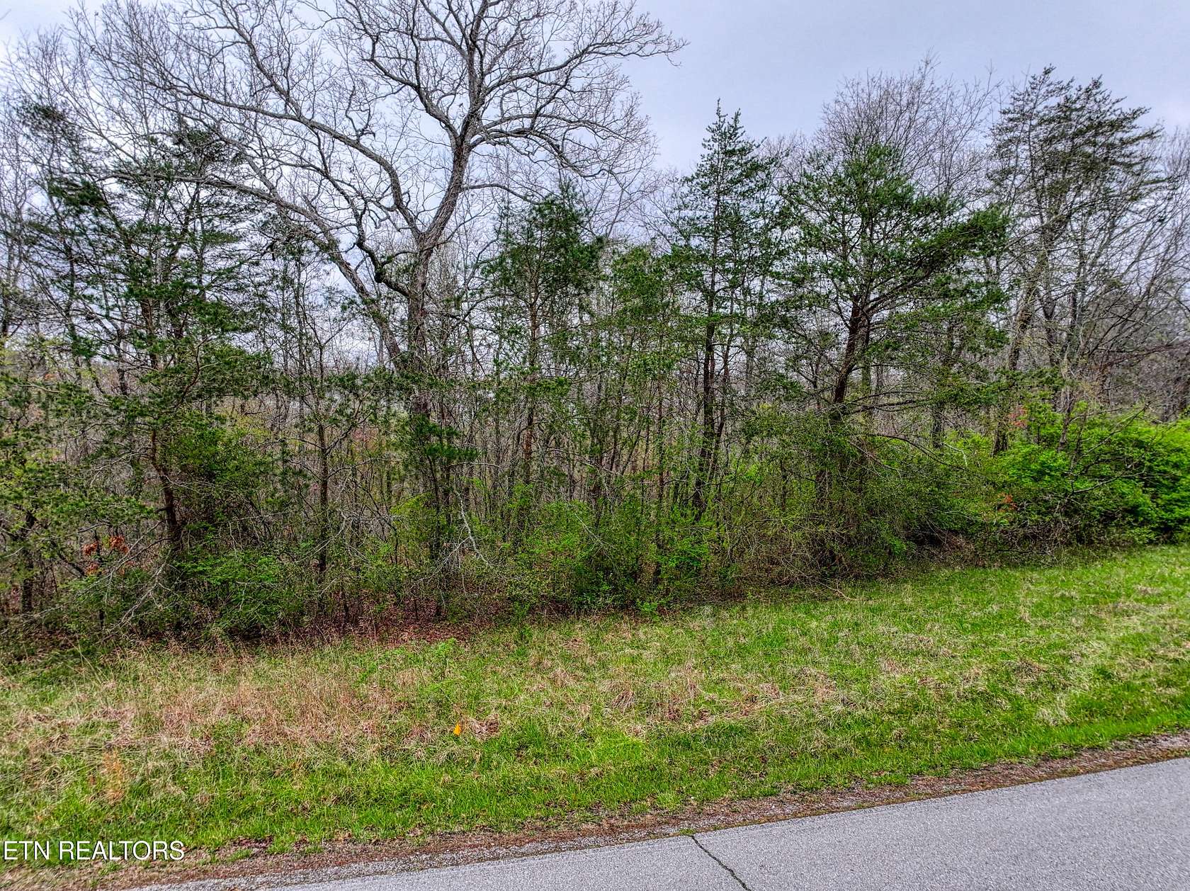 0.51 Acres of Land for Sale in Crossville, Tennessee