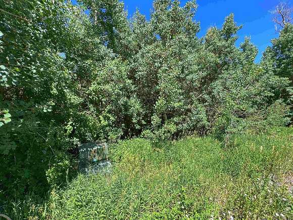 0.5 Acres of Residential Land for Sale in Mesa, Colorado