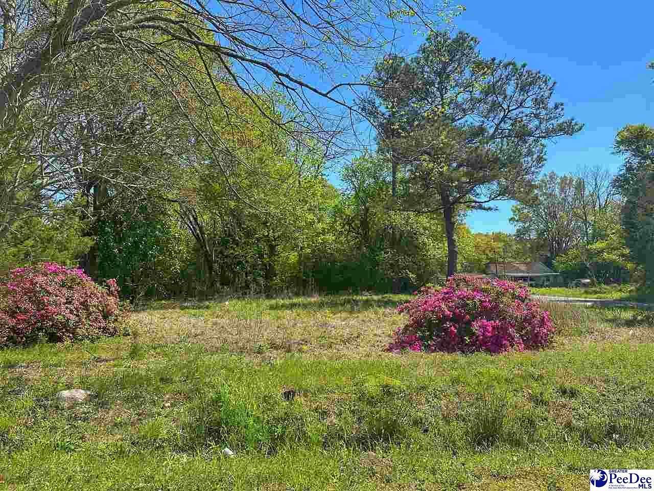 0.18 Acres of Residential Land for Sale in Dillon, South Carolina