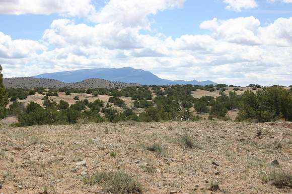 2.4 Acres of Residential Land for Sale in Algodones, New Mexico