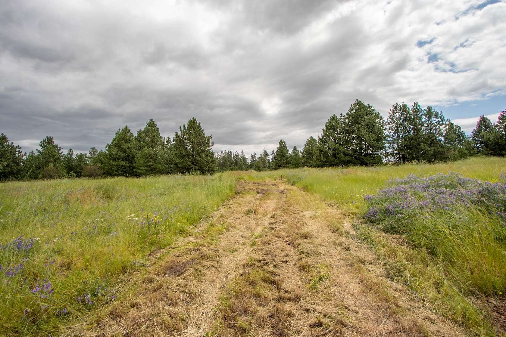 2.3 Acres of Residential Land for Sale in Spokane, Washington