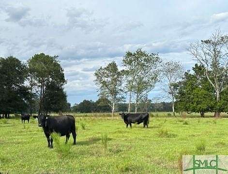 100 Acres of Land for Sale in Guyton, Georgia