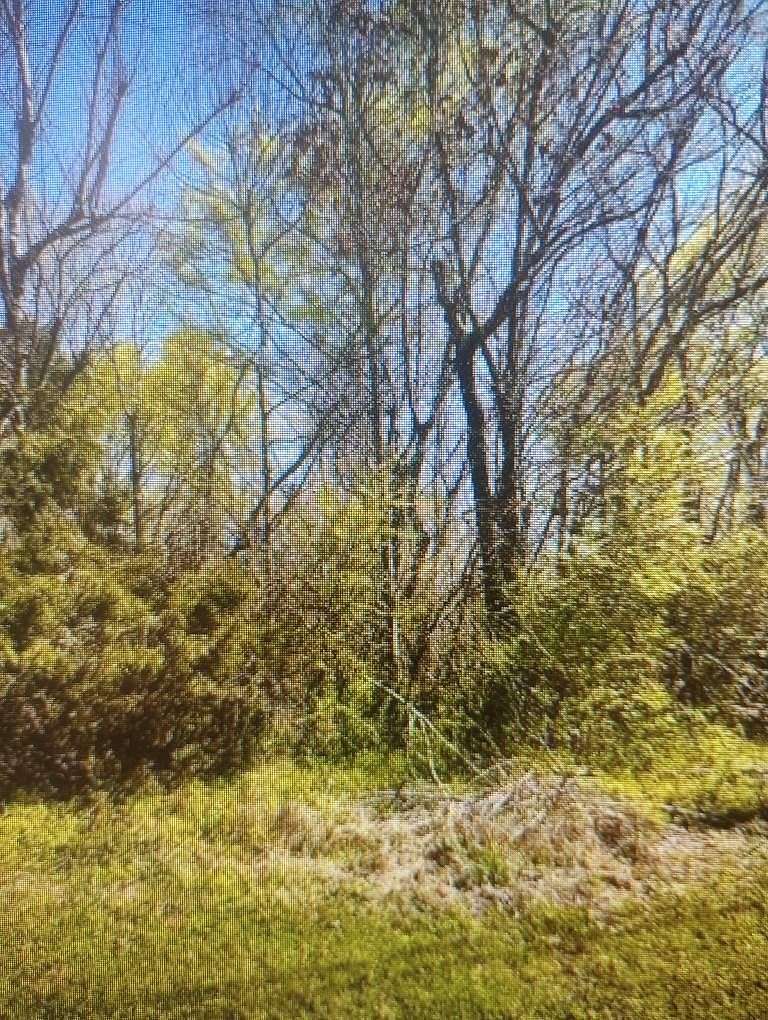 0.1 Acres of Residential Land for Sale in Killen, Alabama