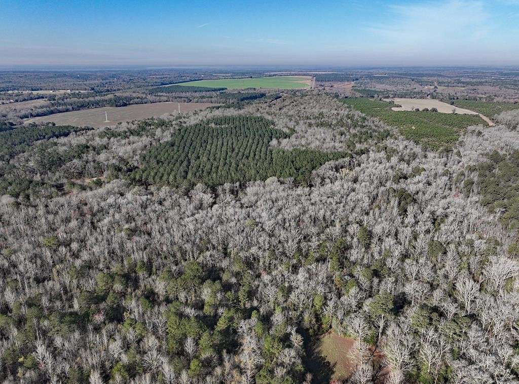 170 Acres of Land for Sale in Salley, South Carolina