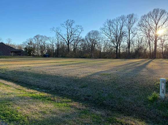 1 Acre of Residential Land for Sale in Washington, Louisiana