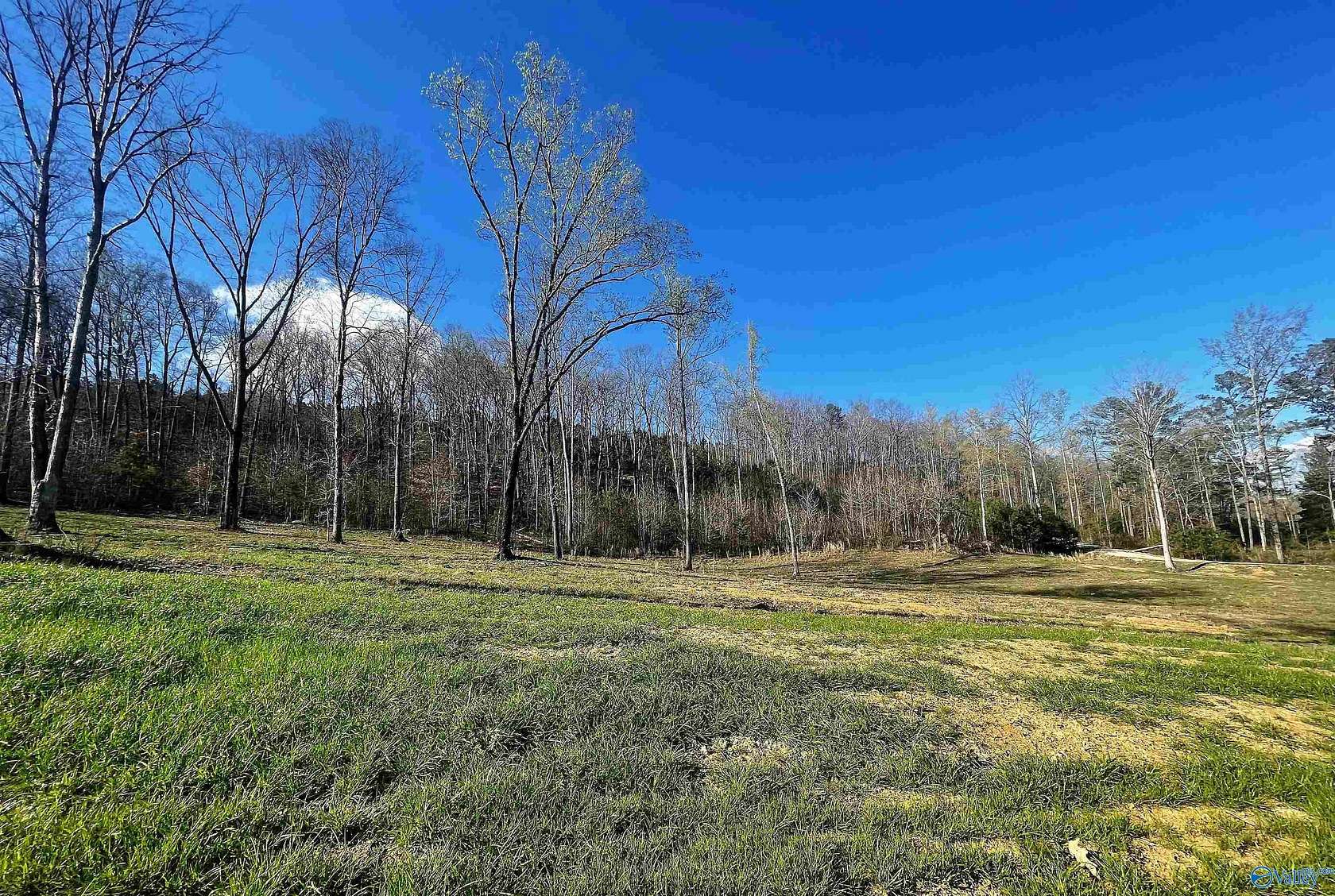 0.64 Acres of Residential Land for Sale in Altoona, Alabama