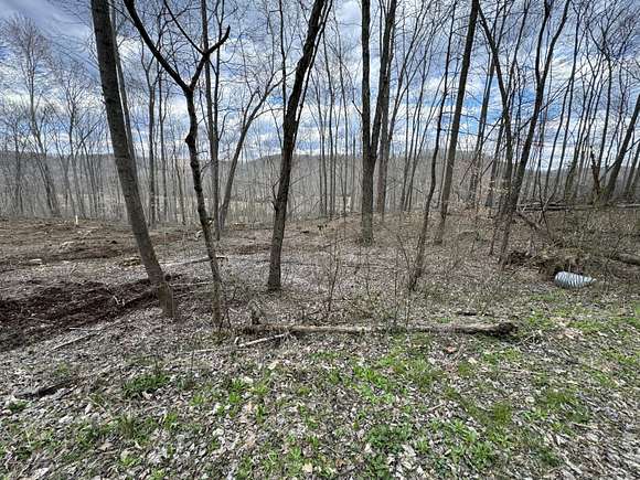 2 Acres of Land for Sale in Hillsboro, Kentucky