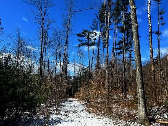 40 Acres of Land for Sale in Cavendish, Vermont
