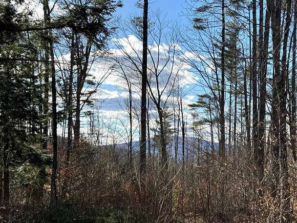 40 Acres of Recreational Land for Sale in Cavendish, Vermont