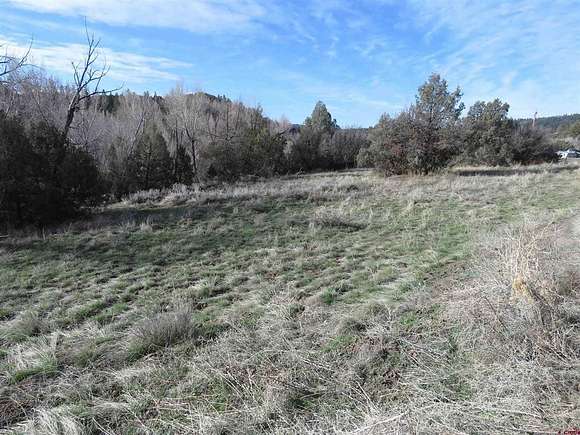 2.6 Acres of Residential Land for Sale in Pagosa Springs, Colorado
