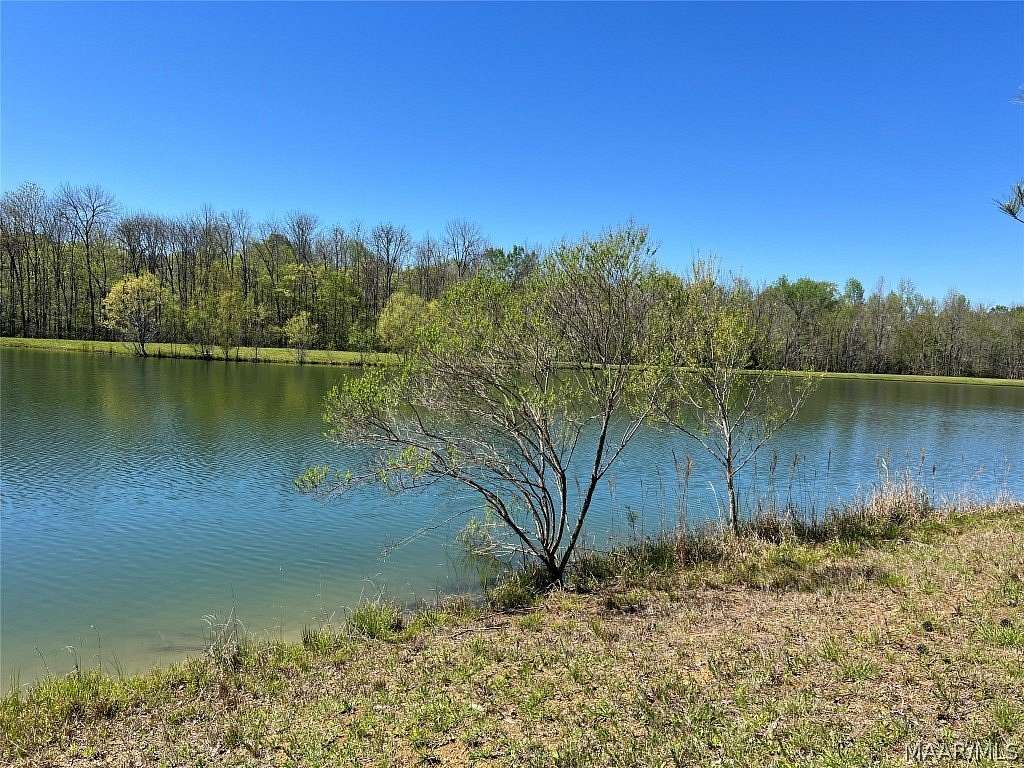8.79 Acres of Residential Land for Sale in Mathews, Alabama