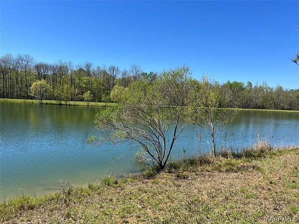 8.79 Acres of Residential Land for Sale in Mathews, Alabama