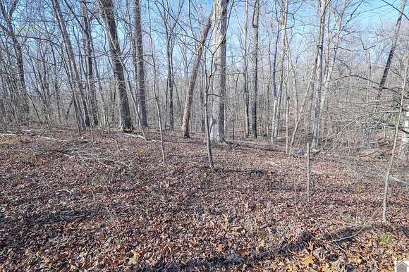 0.45 Acres of Residential Land for Sale in New Concord, Kentucky