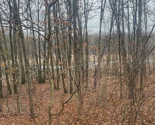 1.9 Acres of Residential Land for Sale in Grand Haven, Michigan