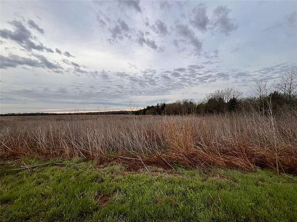 50.1 Acres of Recreational Land for Sale in Ladonia, Texas