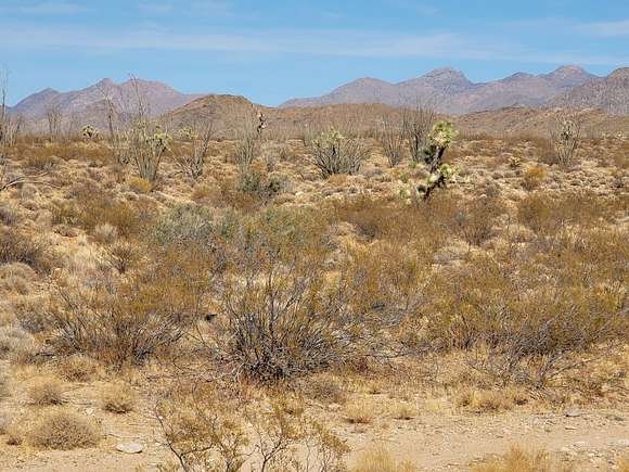 2.1 Acres of Residential Land for Sale in Yucca, Arizona