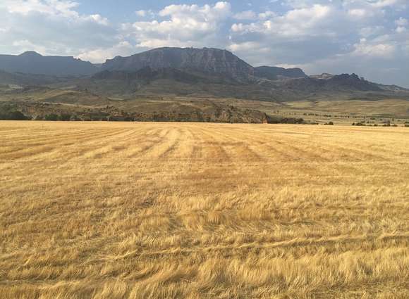 2 Acres of Land for Sale in Cody, Wyoming