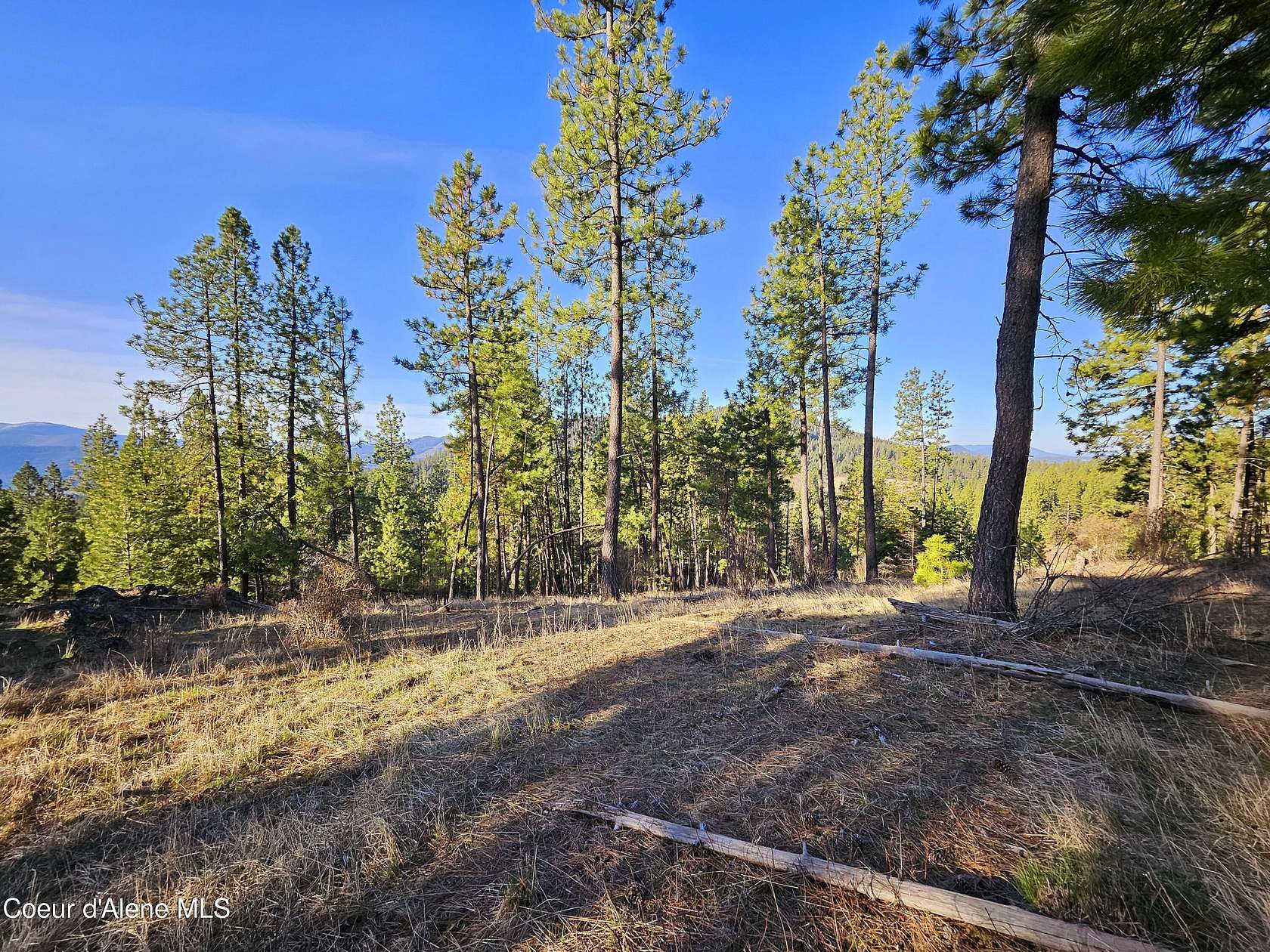 11.4 Acres of Land for Sale in St. Maries, Idaho