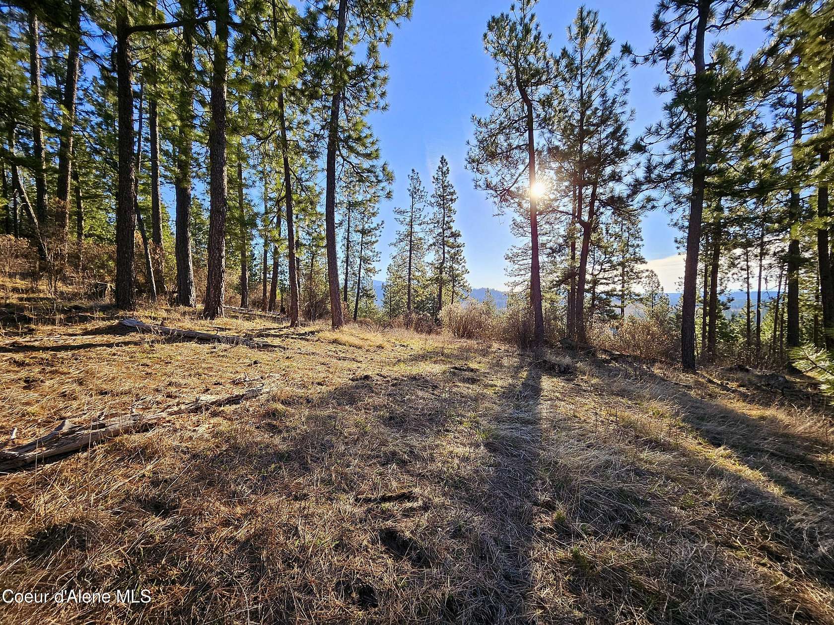 11.36 Acres of Land for Sale in St. Maries, Idaho