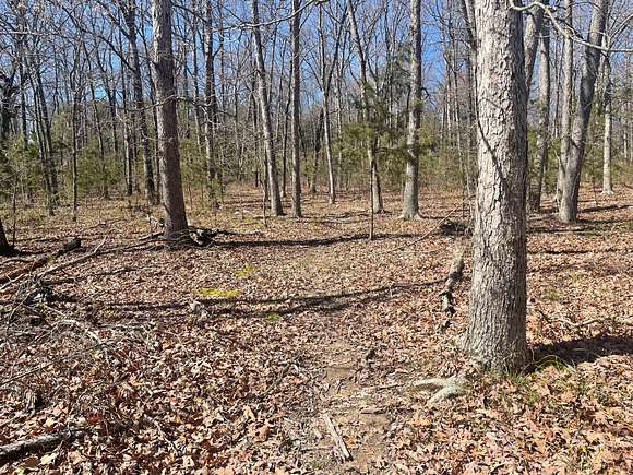 10 Acres of Recreational Land for Sale in Mountain View, Arkansas