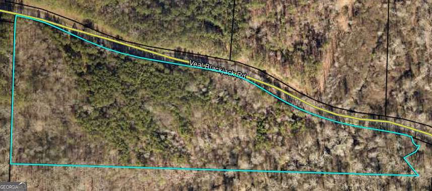 10.1 Acres of Land for Sale in Bowdon, Georgia