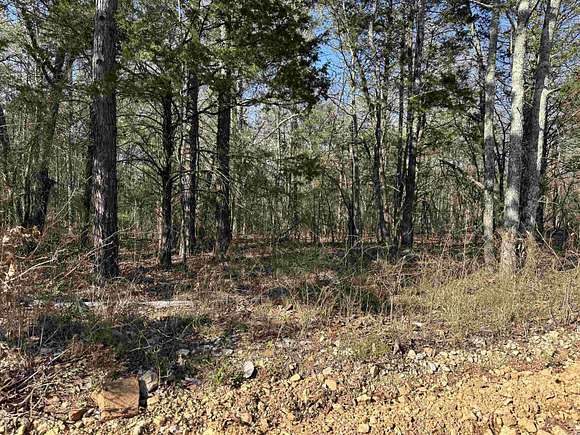 12 Acres of Land for Sale in Mountain View, Arkansas
