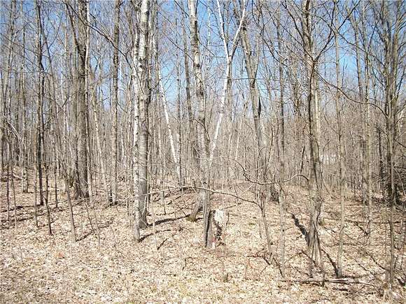 0.981 Acres of Residential Land for Sale in Birchwood, Wisconsin