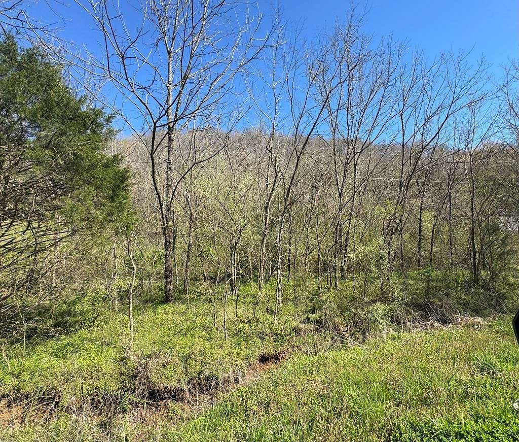 4 Acres of Residential Land for Sale in Gainesboro, Tennessee