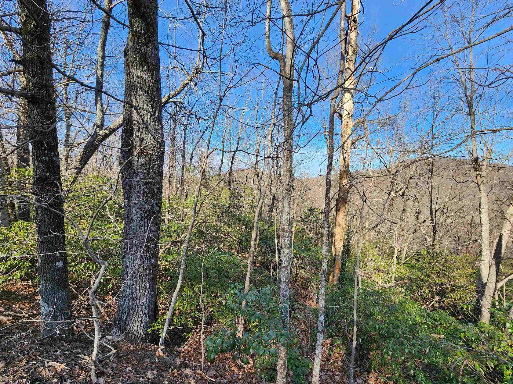 1.3 Acres of Residential Land for Sale in Columbus, North Carolina