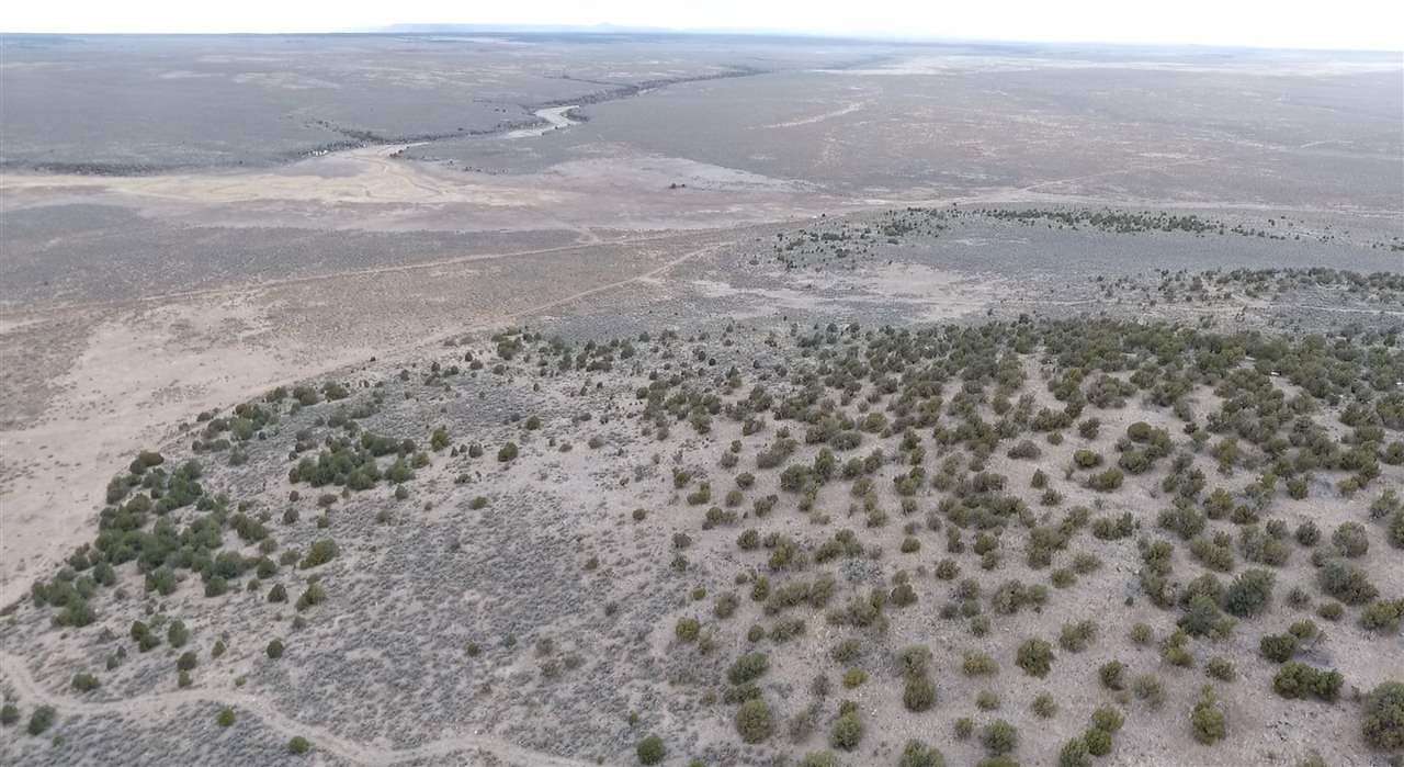 320 Acres of Land for Sale in Carson, New Mexico