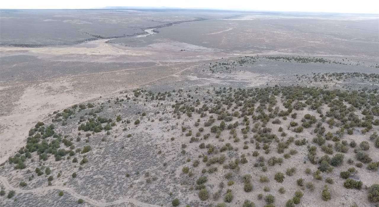 320 Acres of Recreational Land for Sale in Carson, New Mexico
