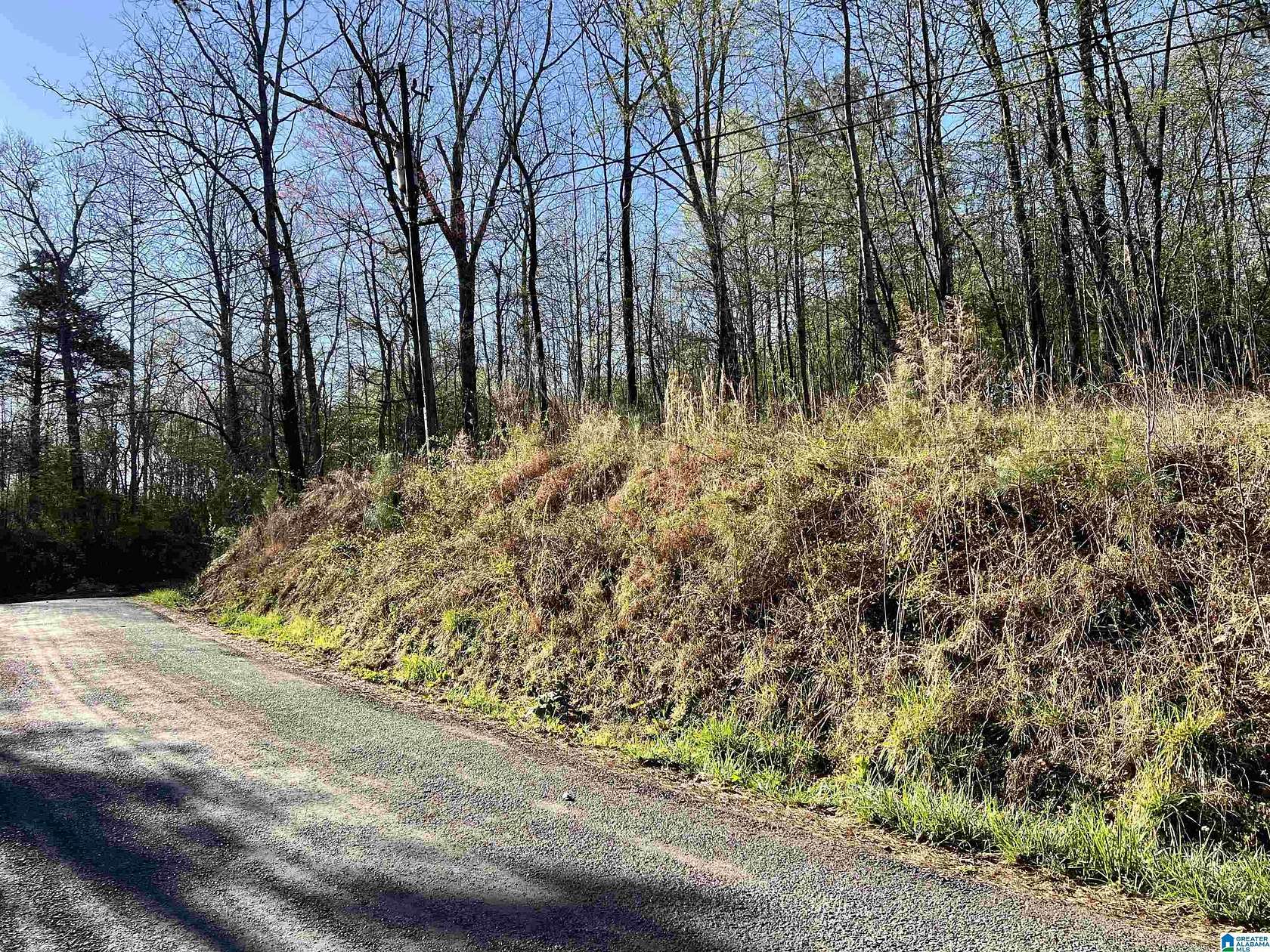 2.8 Acres of Land for Sale in Oneonta, Alabama