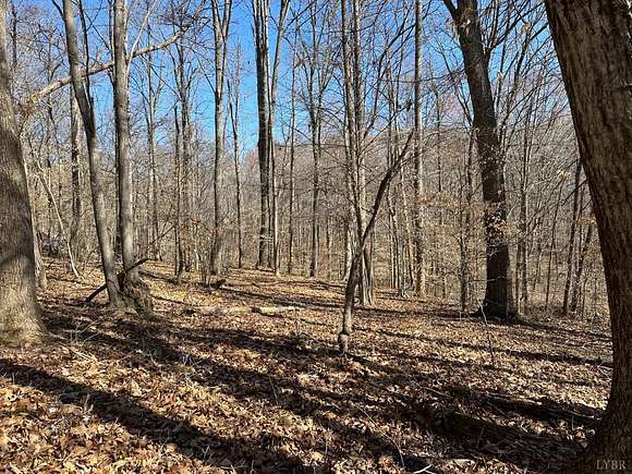 9.35 Acres of Residential Land for Sale in Madison Heights, Virginia ...