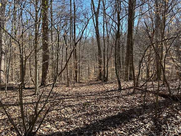 9.35 Acres of Residential Land for Sale in Madison Heights, Virginia ...