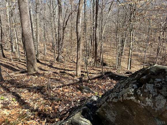 935 Acres Of Residential Land For Sale In Madison Heights Virginia Landsearch 9268