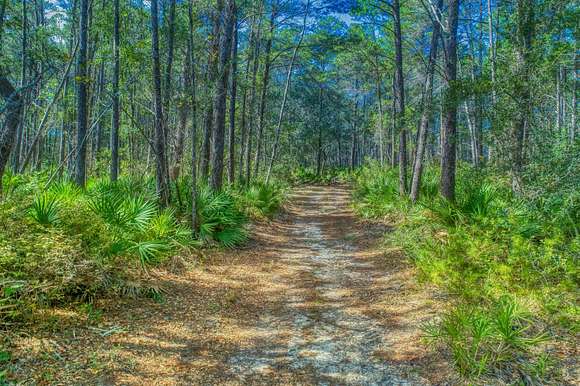 5 Acres of Residential Land for Sale in Santa Rosa Beach, Florida