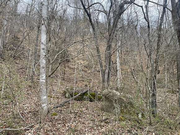 41.5 Acres of Recreational Land for Sale in Viper, Kentucky