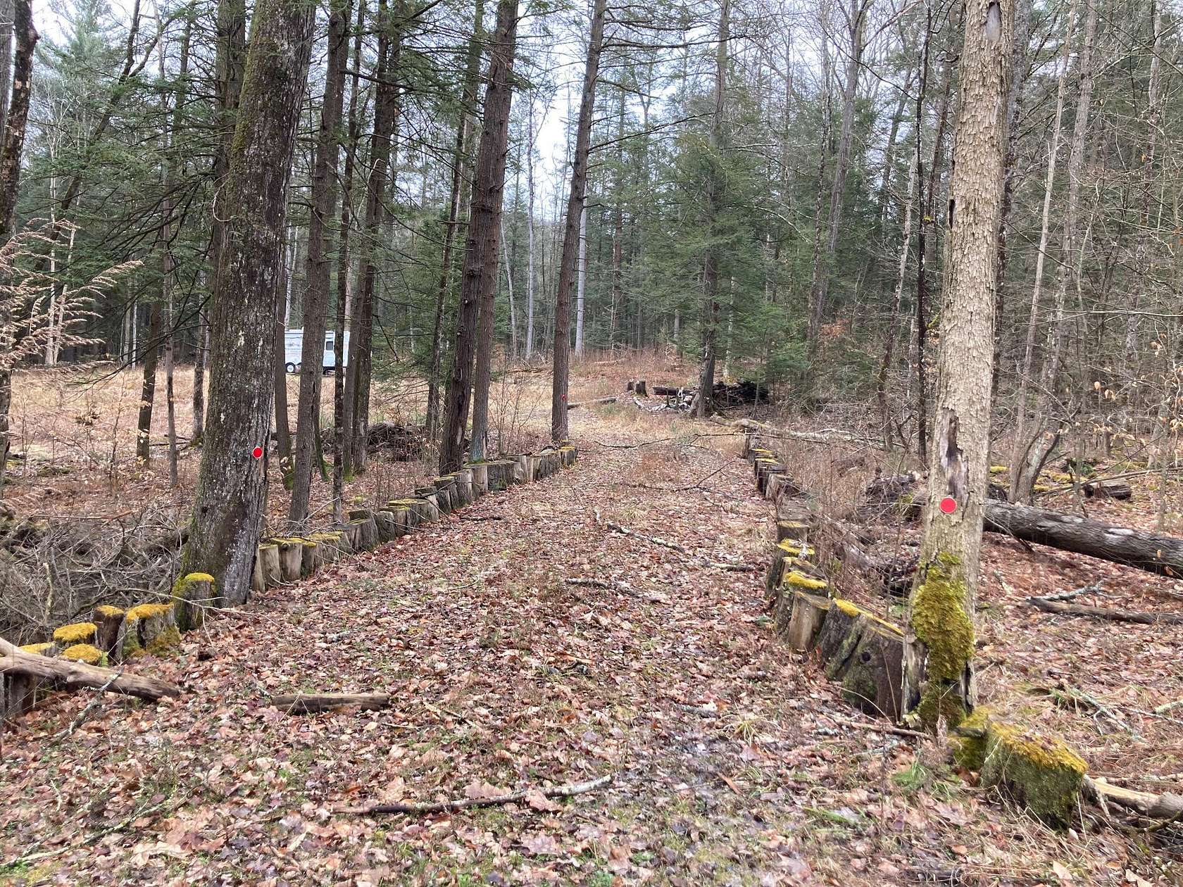 15 Acres of Recreational Land for Sale in Windsor, New York