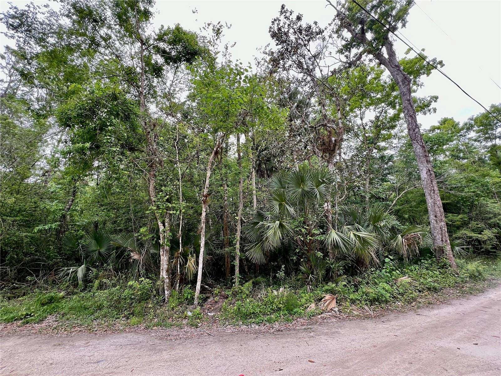 7.1 Acres of Land for Sale in Kissimmee, Florida