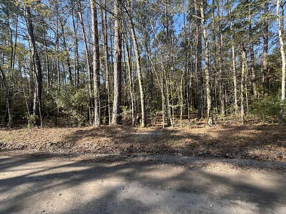 3.88 Acres of Residential Land for Sale in Adams Run, South Carolina ...