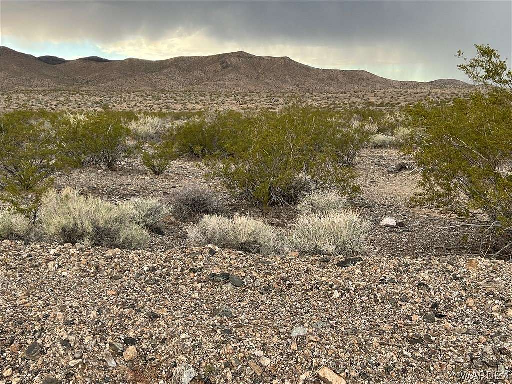 39.9 Acres of Agricultural Land for Sale in White Hills, Arizona