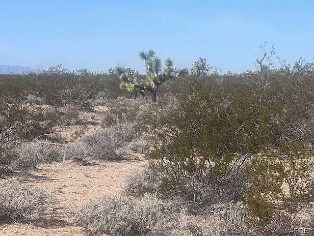 40 Acres of Recreational Land & Farm for Sale in Yucca, Arizona