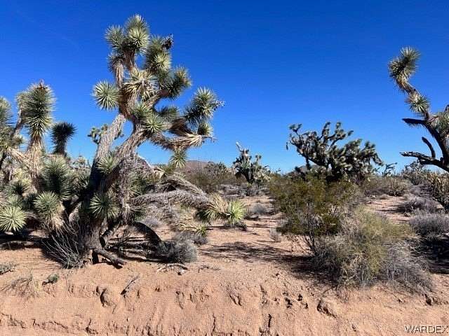 40 Acres of Recreational Land & Farm for Sale in Yucca, Arizona