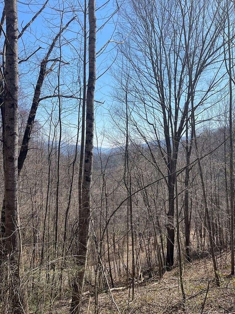 1.34 Acres of Residential Land for Sale in Waynesville, North Carolina