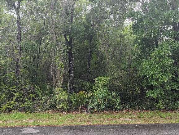 0.5 Acres of Residential Land for Sale in Dunnellon, Florida