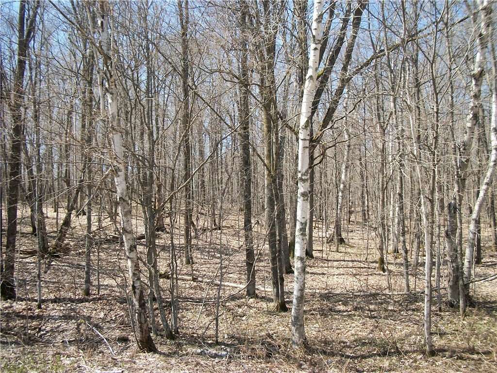 1 Acre of Land for Sale in Birchwood, Wisconsin