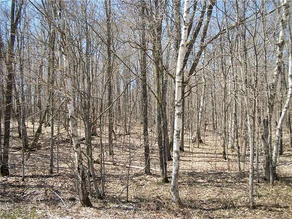 1 Acre of Residential Land for Sale in Birchwood, Wisconsin